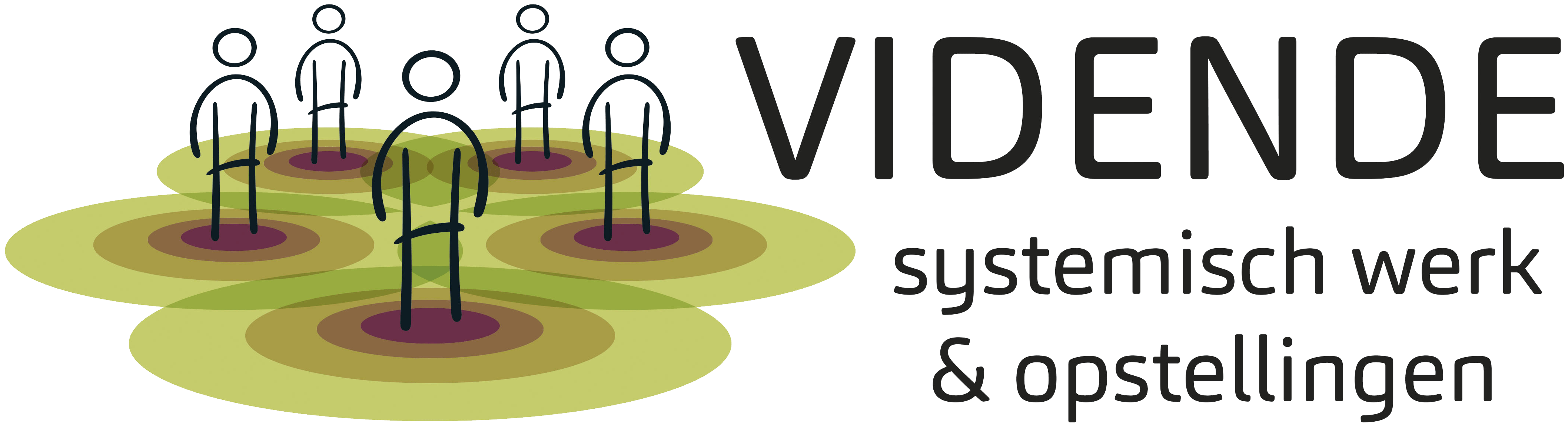Vidende logo